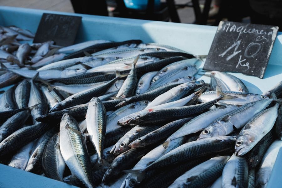 Food, agri and marine